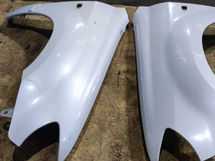 Крылья передние