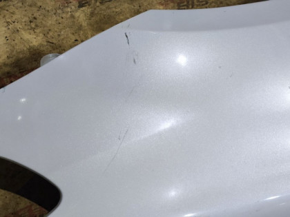 Крылья передние