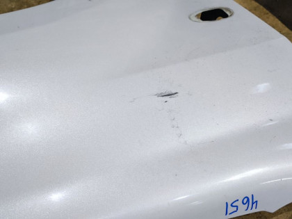 Крылья передние