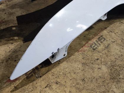 Крылья передние