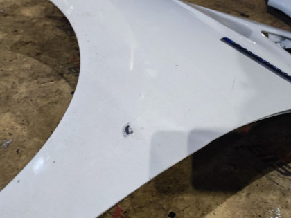 Крылья передние