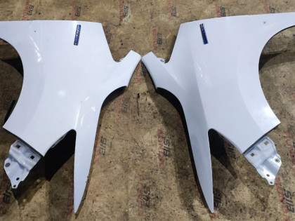 Крылья передние