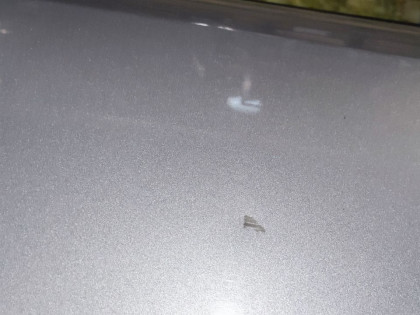 Дверь задняя