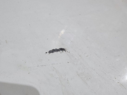 Дверь передняя левая