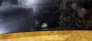 Крышка багажника HONDA ACCORD OEM 68500-S0A-J00ZZ CF4 1999